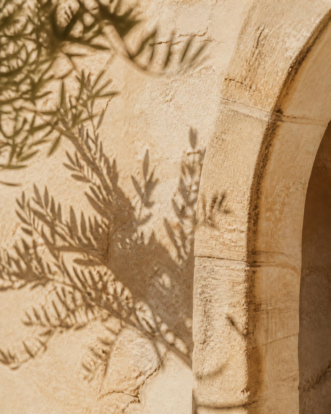 Détail d’une arche en pierre blonde et ombre d’olivier